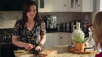 A Zest for Death: A Hannah Swensen Mystery (2023) download