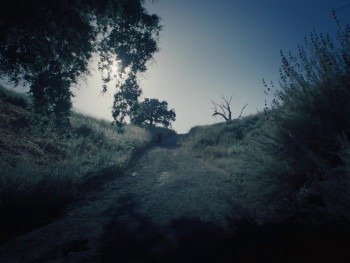 Abraham's Boys (2025) download