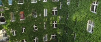 Adam (2018) download