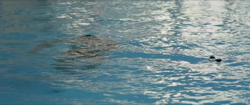 Adam (2018) download