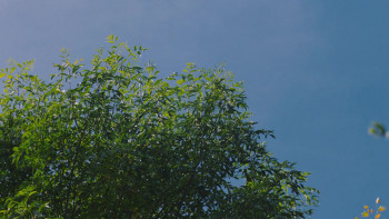 Adult Best Friends (2024) download