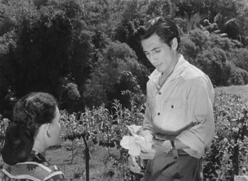 After the Curfew (1954) download