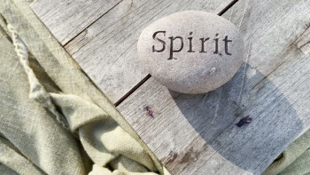 Aging Evolution (2025) download