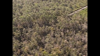 Aileen: Queen of the Serial Killers (2025) download