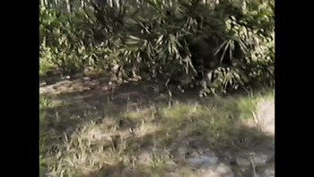 Aileen: Queen of the Serial Killers (2025) download