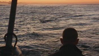 Air Jaws Top Guns (2022) download