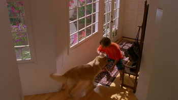 Airborne (1993) download