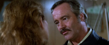 Airport '77 (1977) download