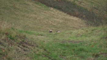 Alan Partridge: Welcome to the Places of My Life (2012) download