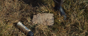 Aliens Abducted My Parents and Now I Feel Kinda Left Out (2023) download