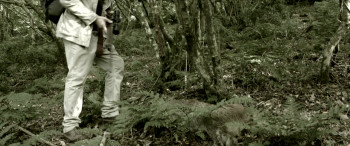 Alive (2023) download