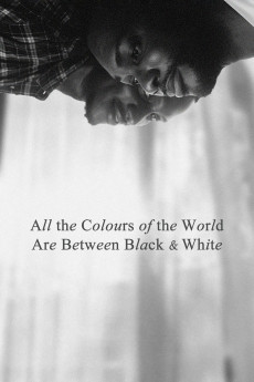 All the Colours of the World Are Between Black and White (2023) download