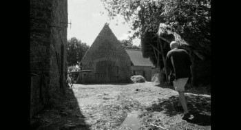 Along Came Love (2023) download