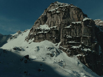 Alpha. (2024) download