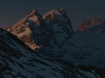 Alpha. (2024) download