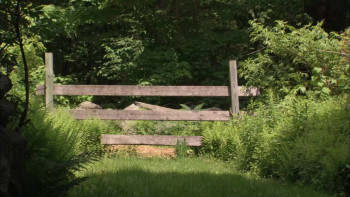 American Masters Louisa May Alcott: The Woman Behind 'Little Women' (2008) download