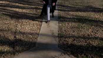 American Scarecrow (2020) download