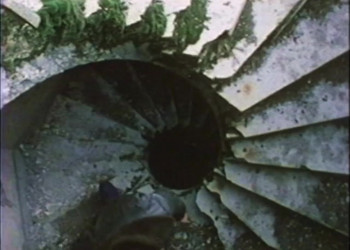 American Taboo (1983) download