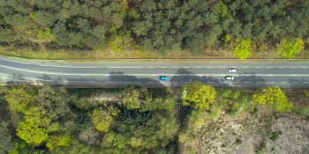 American Thunder: NASCAR to Le Mans (2025) download