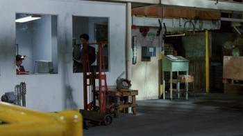 American Yakuza (1993) download