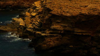 Amnesia (2015) download