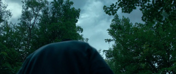 Anemone (2025) download