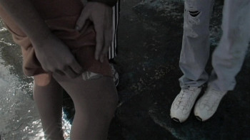 Animal (2005) download