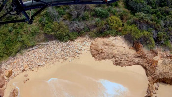 Animals on the Loose: A You vs. Wild Movie (2021) download