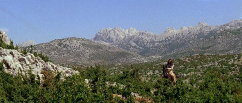 Apache Gold (1963) download