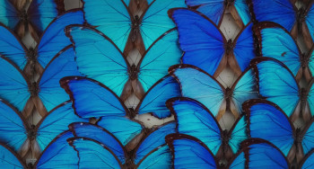 Archiv der Zukunft (2023) download