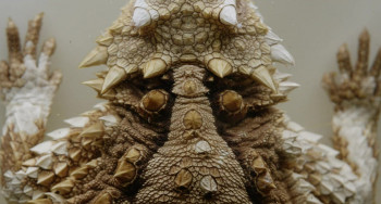 Archiv der Zukunft (2023) download