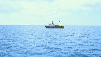 Arctic Blast (2010) download