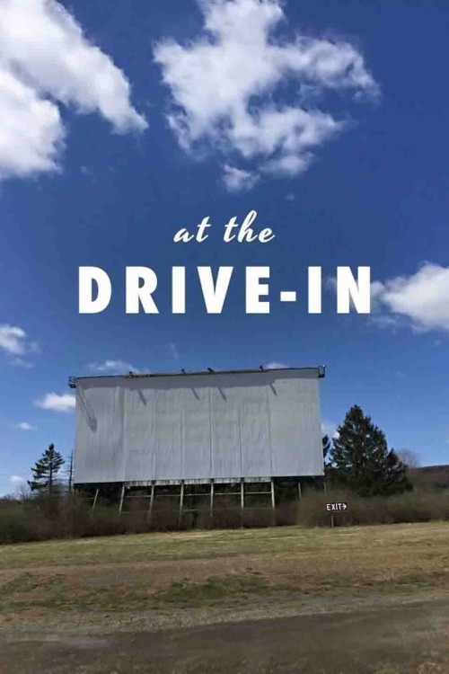 At the Drive-in (2017) download