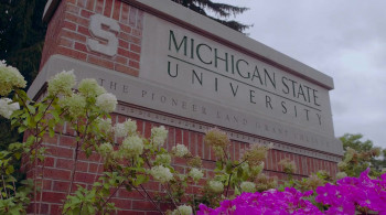 At the Heart of Gold: Inside the USA Gymnastics Scandal (2019) download