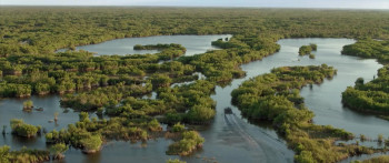 Attack of the Meth Gator (2023) download