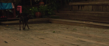 Attrition (2018) download