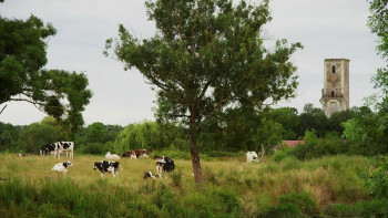 Audubon (2017) download