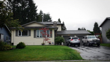 Ayahuasca and the Path of the Shaman (2018) download