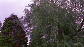 Back to the Secret Garden (2000) download