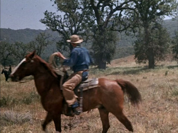 Backtrack! (1969) download