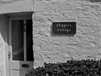 Bait (2019) download