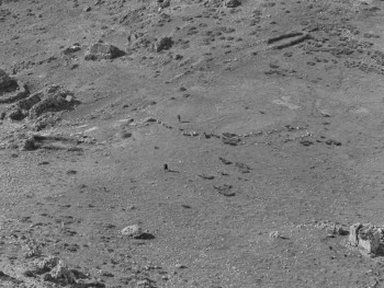 Bandits of Orgosolo (1961) download