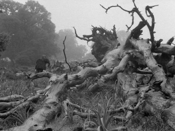 Bandits of Orgosolo (1961) download