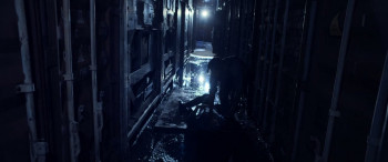 Bangkok Dog (2024) download