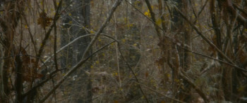 Bastard's Crossing (2021) download