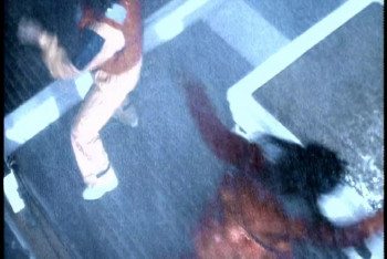 Baywatch: Hawaiian Wedding (2003) download