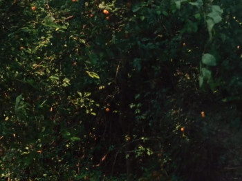 Beatrix (2021) download