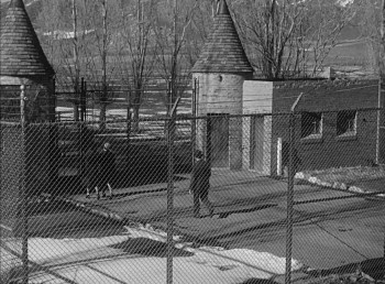 Because of You (1952) download