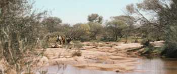 Before Dawn (2024) download