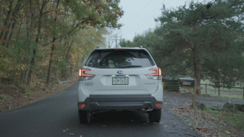 Before They Vanish (2022) download